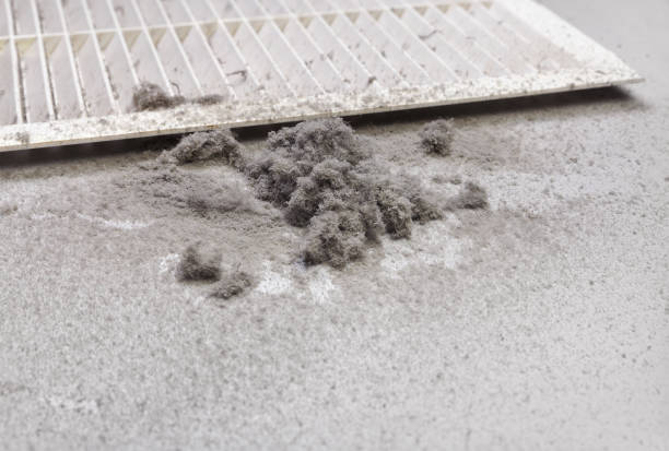 Best HVAC Duct Inspection Services  in Weed, CA