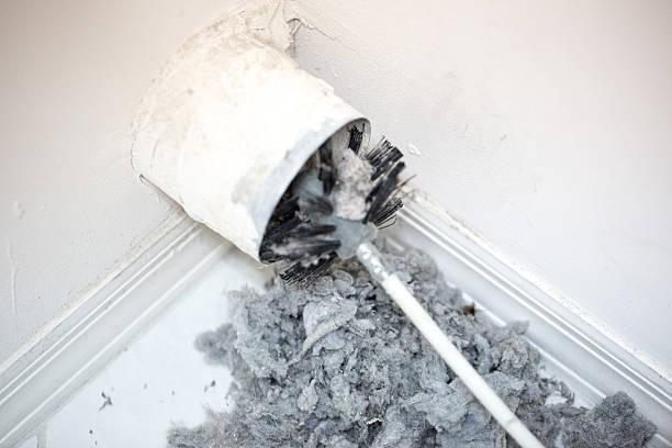 Best HVAC System Cleaning  in Weed, CA